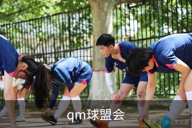 关于qm球盟会